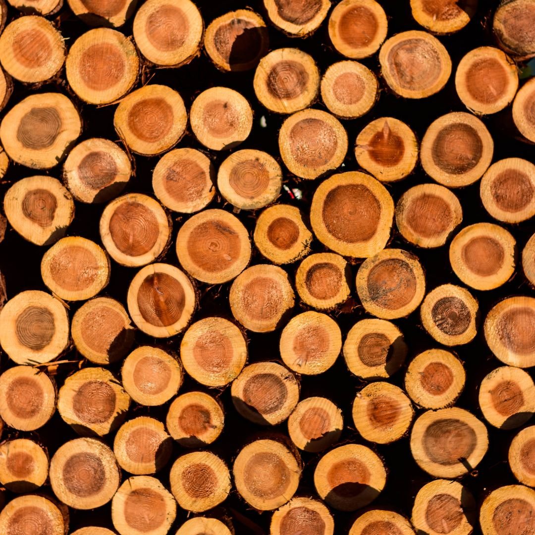 Premium Sauna Materials cross-section showcasing tightly stacked, precision-cut wood logs with rich natural grain, highlighting thermal density, material purity, and luxury craftsmanship.